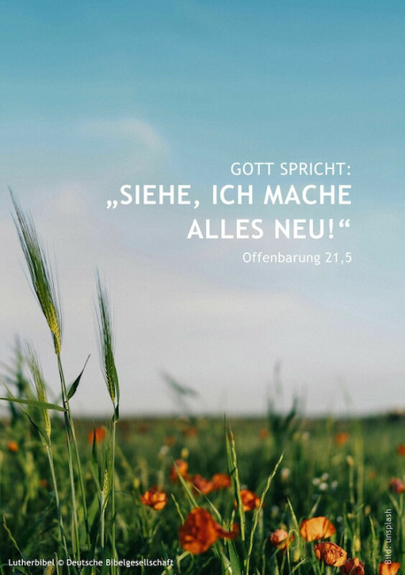 Jahreslosung_2026 (A5) - 4