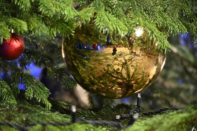 Licht Liebe Leben – Ökumenische Christvesper an Heiligabend aus der Kaiser-Wilhelm-Gedächtniskirche Berlin