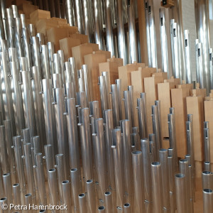 Die kleinsten Pfeifen